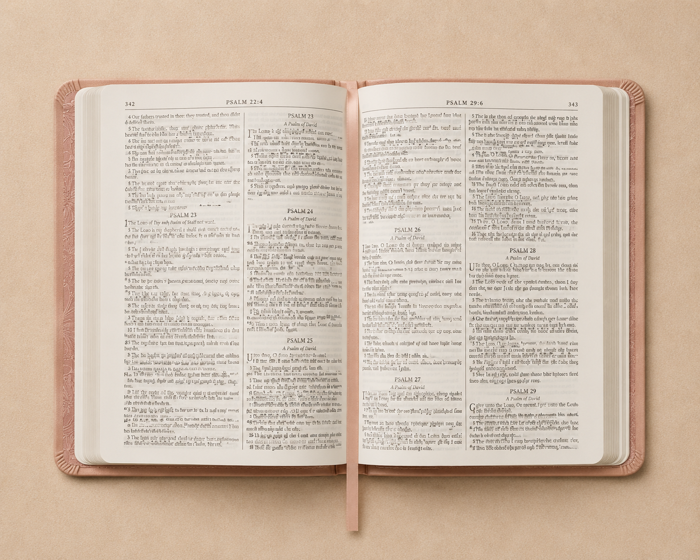 Suede Etched Bible